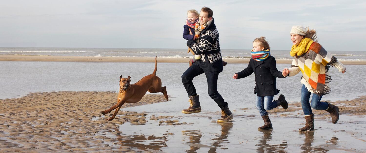 Familie läuft mit ihrem Hund über den weiten Sandstrand bei Ebbe